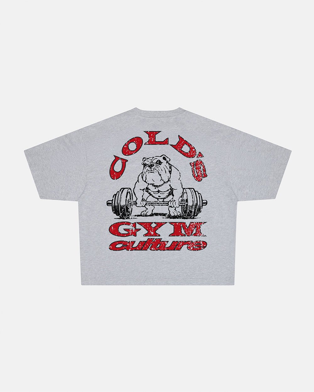 COLD´S GYM BOXY TEE GREY